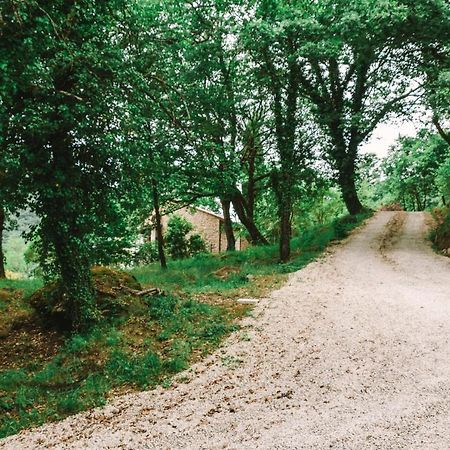 Parulia Country House Arezzo Zewnętrze zdjęcie