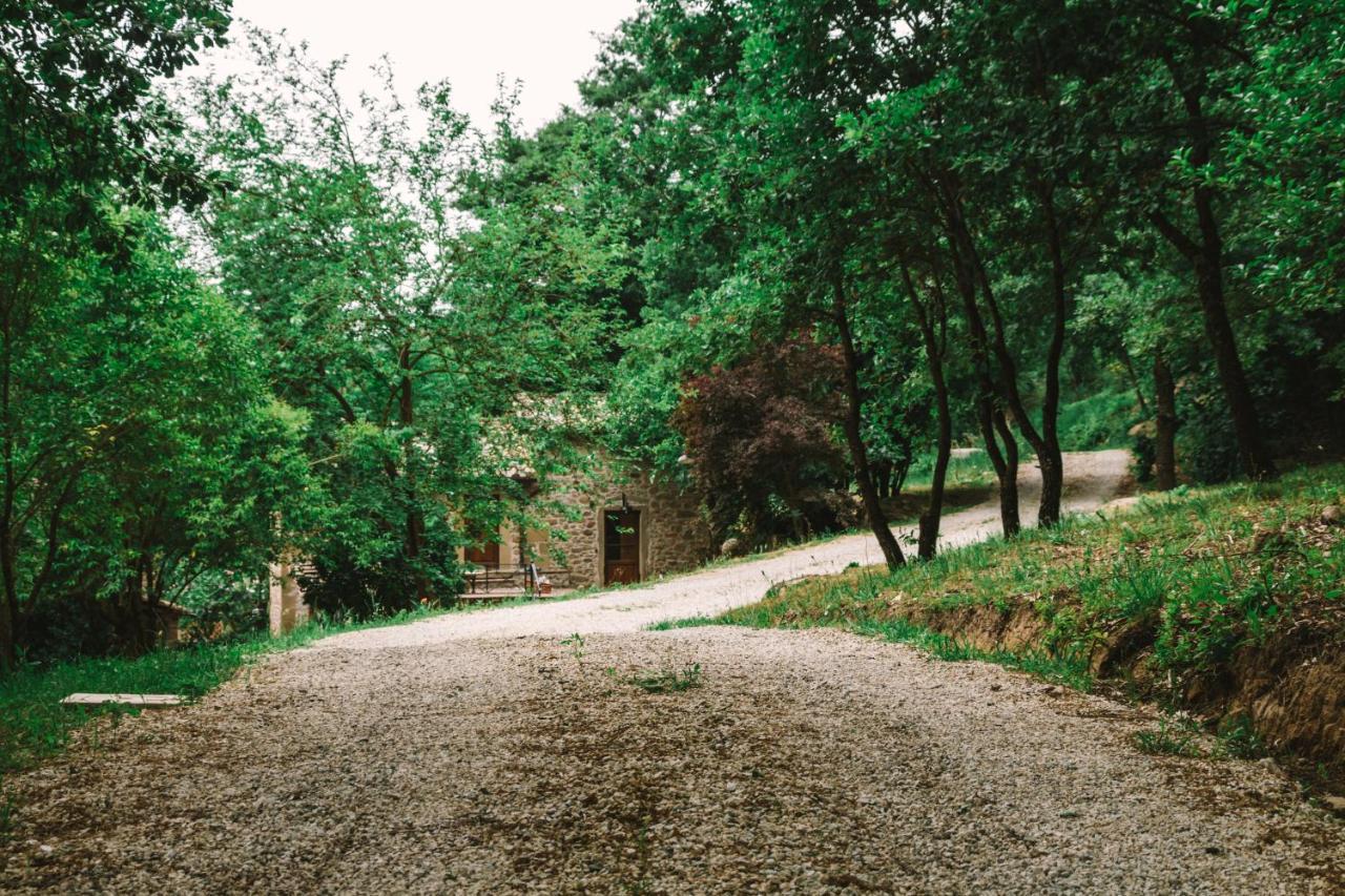 Parulia Country House Arezzo Zewnętrze zdjęcie