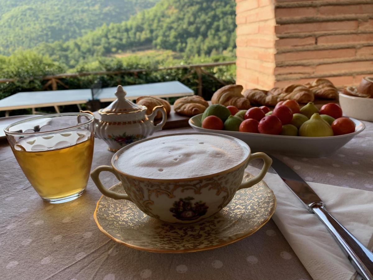 Parulia Country House Arezzo Zewnętrze zdjęcie
