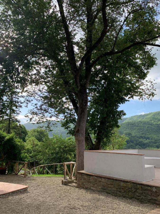 Parulia Country House Arezzo Zewnętrze zdjęcie
