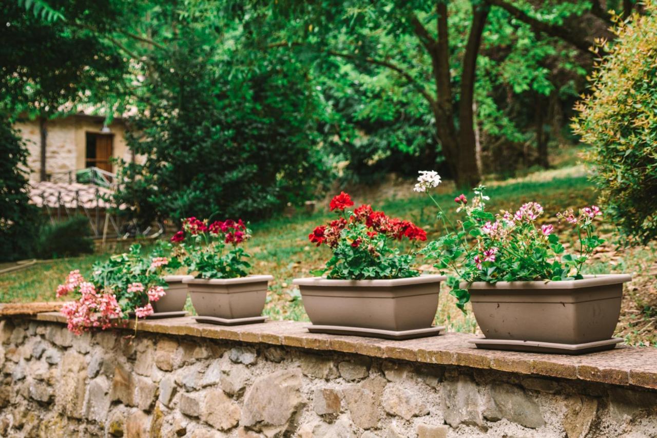 Parulia Country House Arezzo Zewnętrze zdjęcie